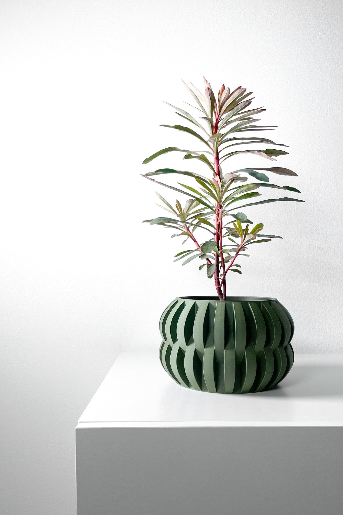 Rib Bud Planter