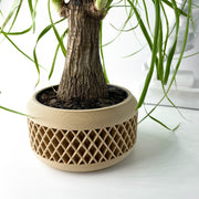 Lattice Basin Planter - 3D printed planter by Valence Objects