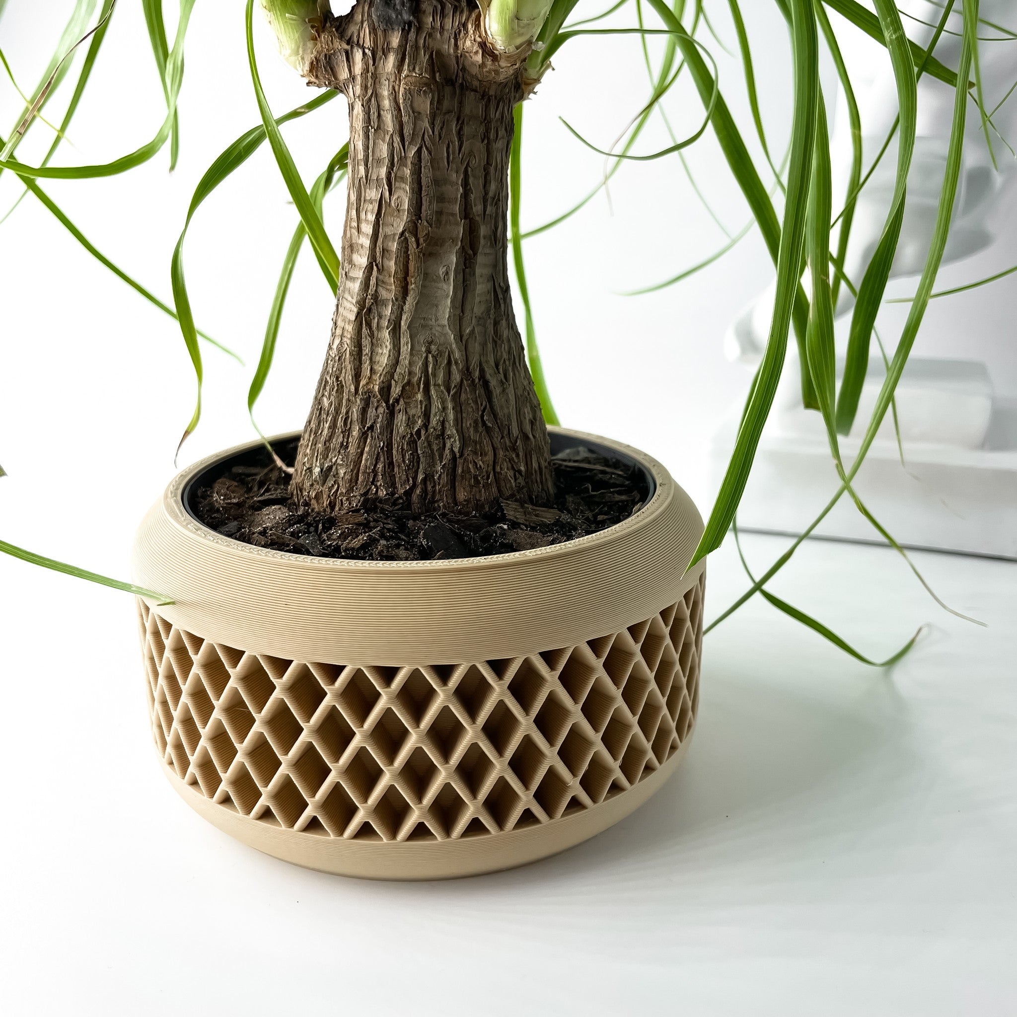 Lattice Basin Planter - 3D printed planter by Valence Objects