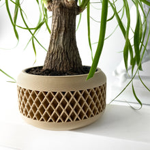 Lattice Basin Planter