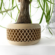 Lattice Basin Planter - 3D printed planter by Valence Objects