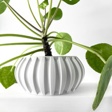 Fluted Bowl Planter
