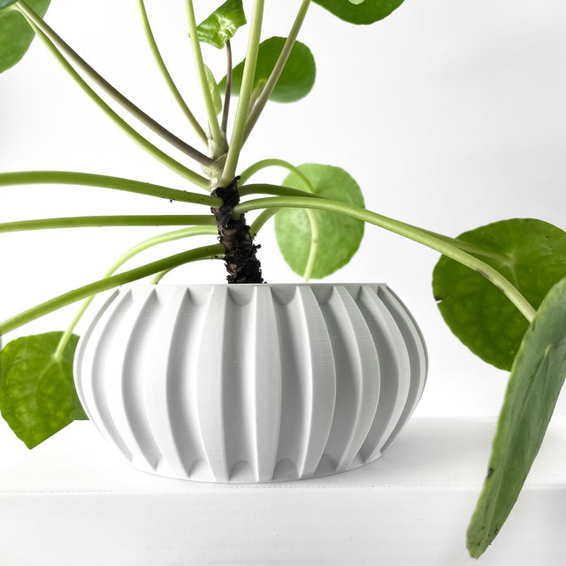 Fluted Bowl Planter