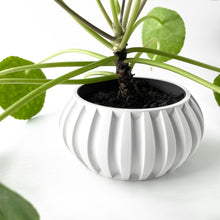 Fluted Bowl Planter