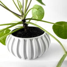 Fluted Bowl Planter
