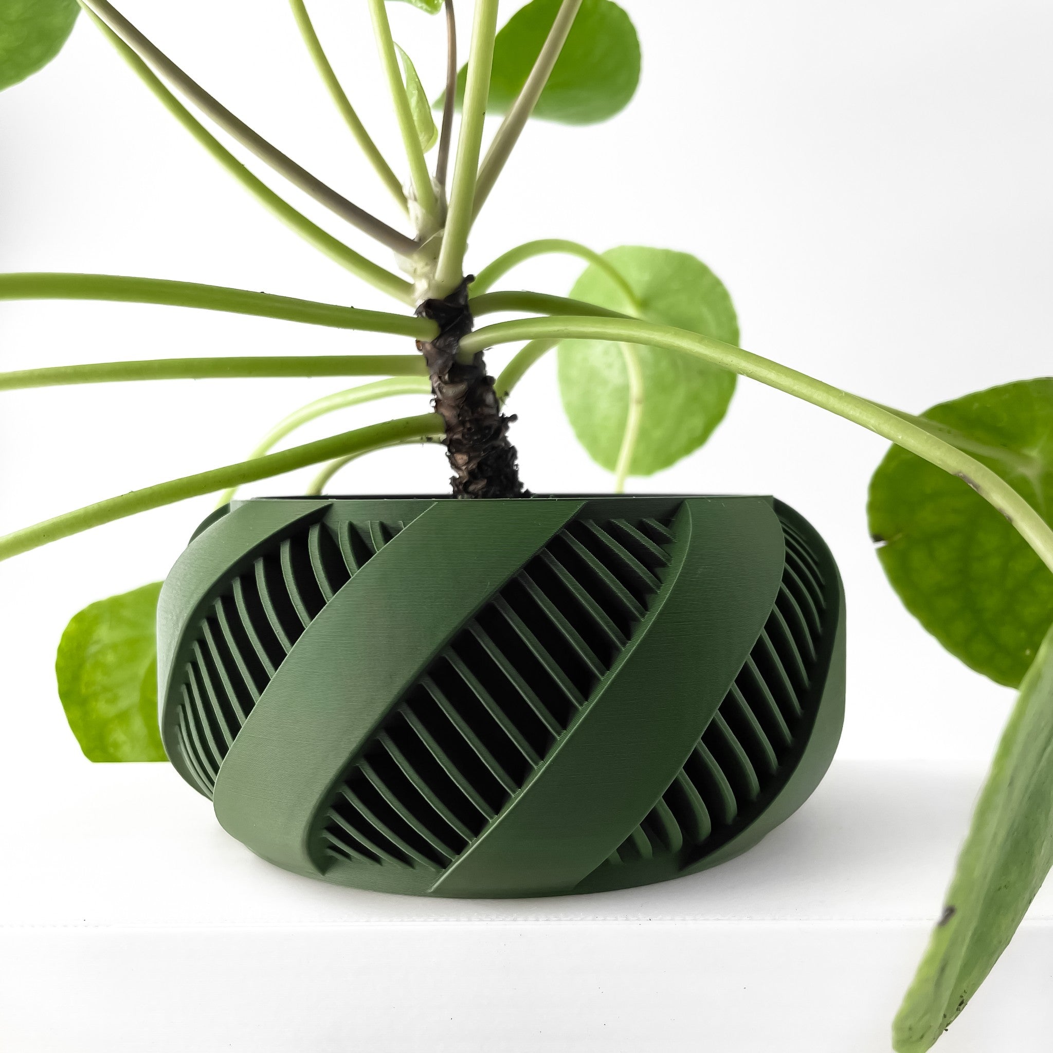 Ribbon Wrap Planter - 3D printed planter by Valence Objects