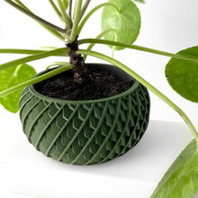 Scale Basin Planter