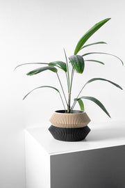 Split Tier Planter - 3D printed planter by Valence Objects