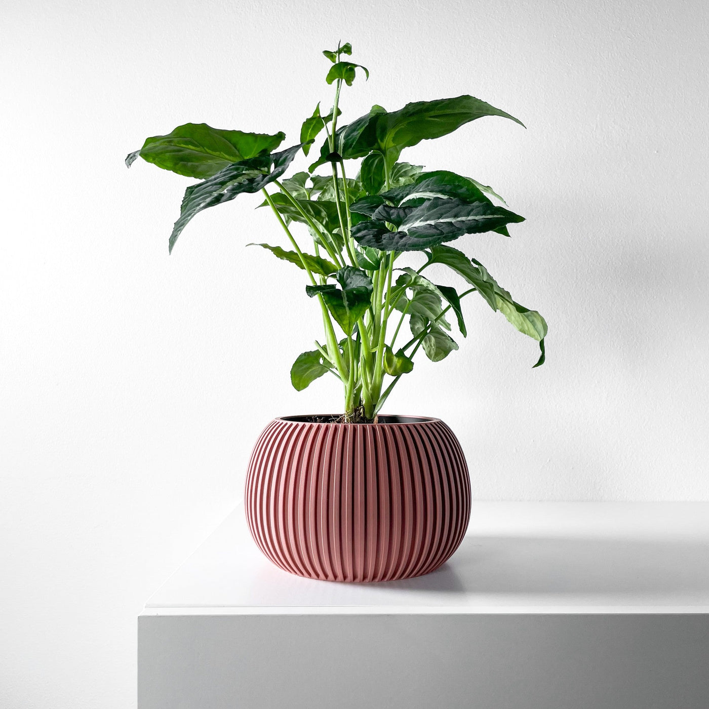 Fine Rib Bud Planter