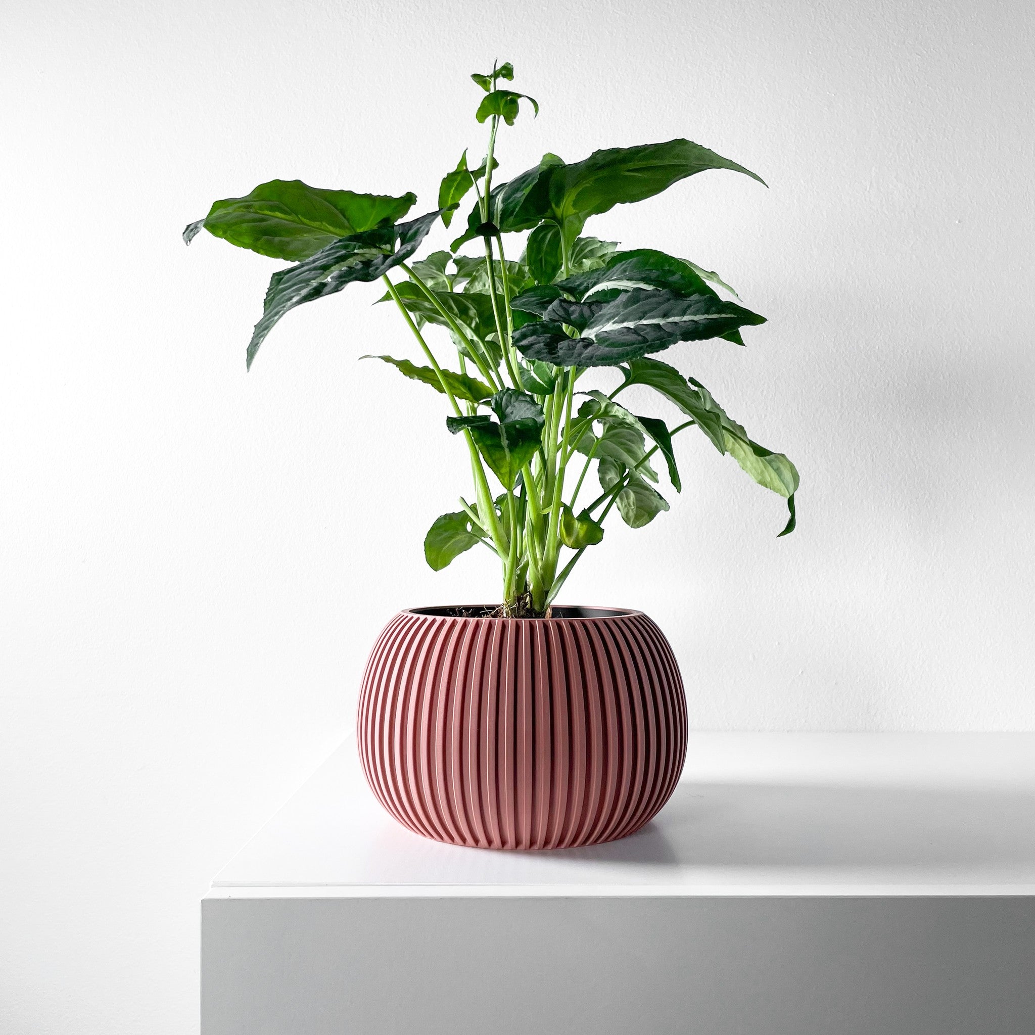 Fine Rib Bud Planter - 3D printed planter by Valence Objects