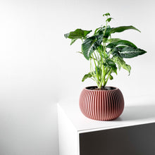 Fine Rib Bud Planter