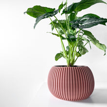 Fine Rib Bud Planter