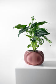 Fine Rib Bud Planter - 3D printed planter by Valence Objects