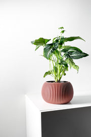 Fine Rib Bud Planter - 3D printed planter by Valence Objects