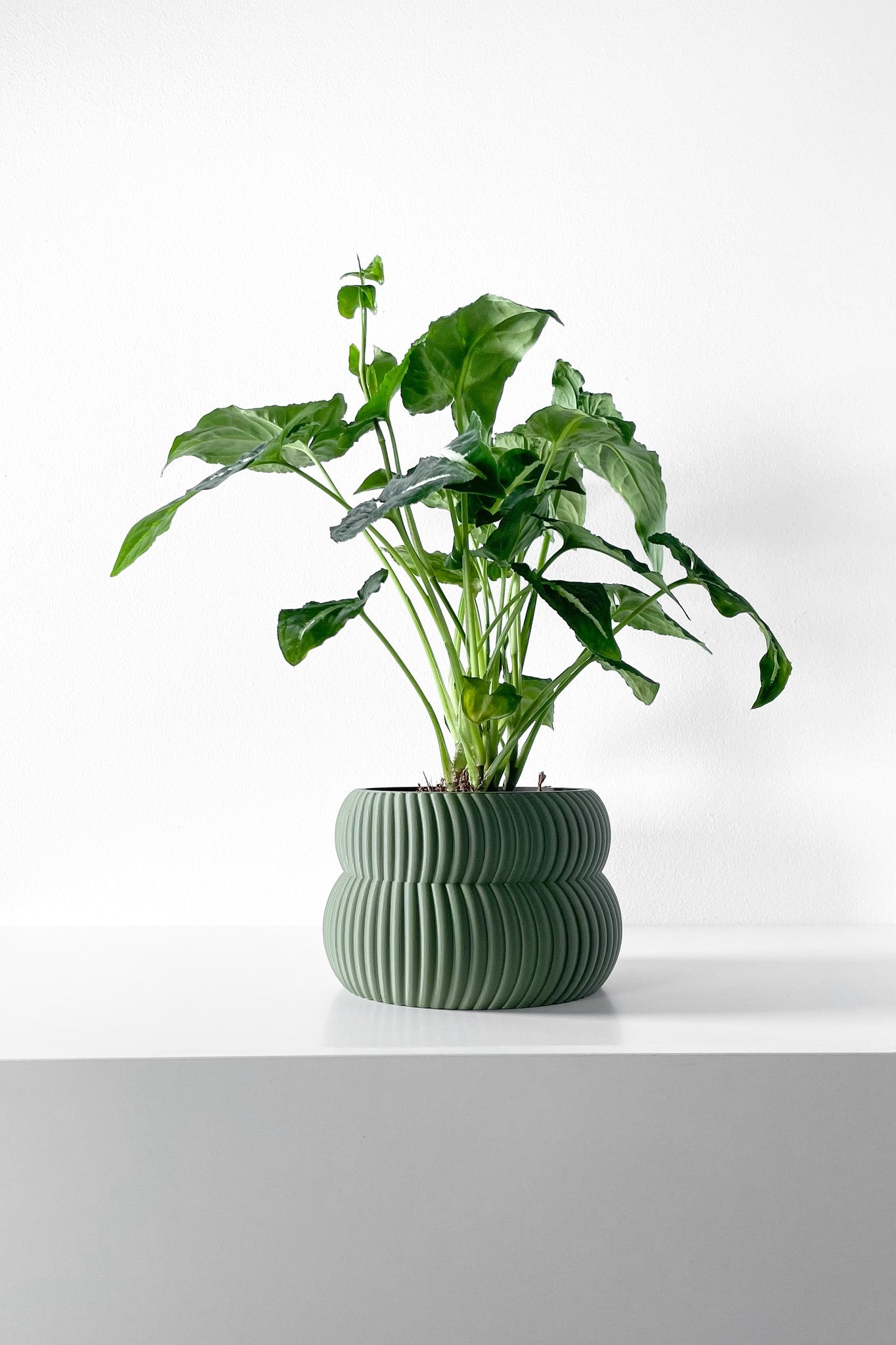 Low Rib Planter