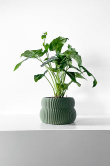 Low Rib Planter