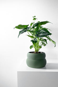 Low Rib Planter