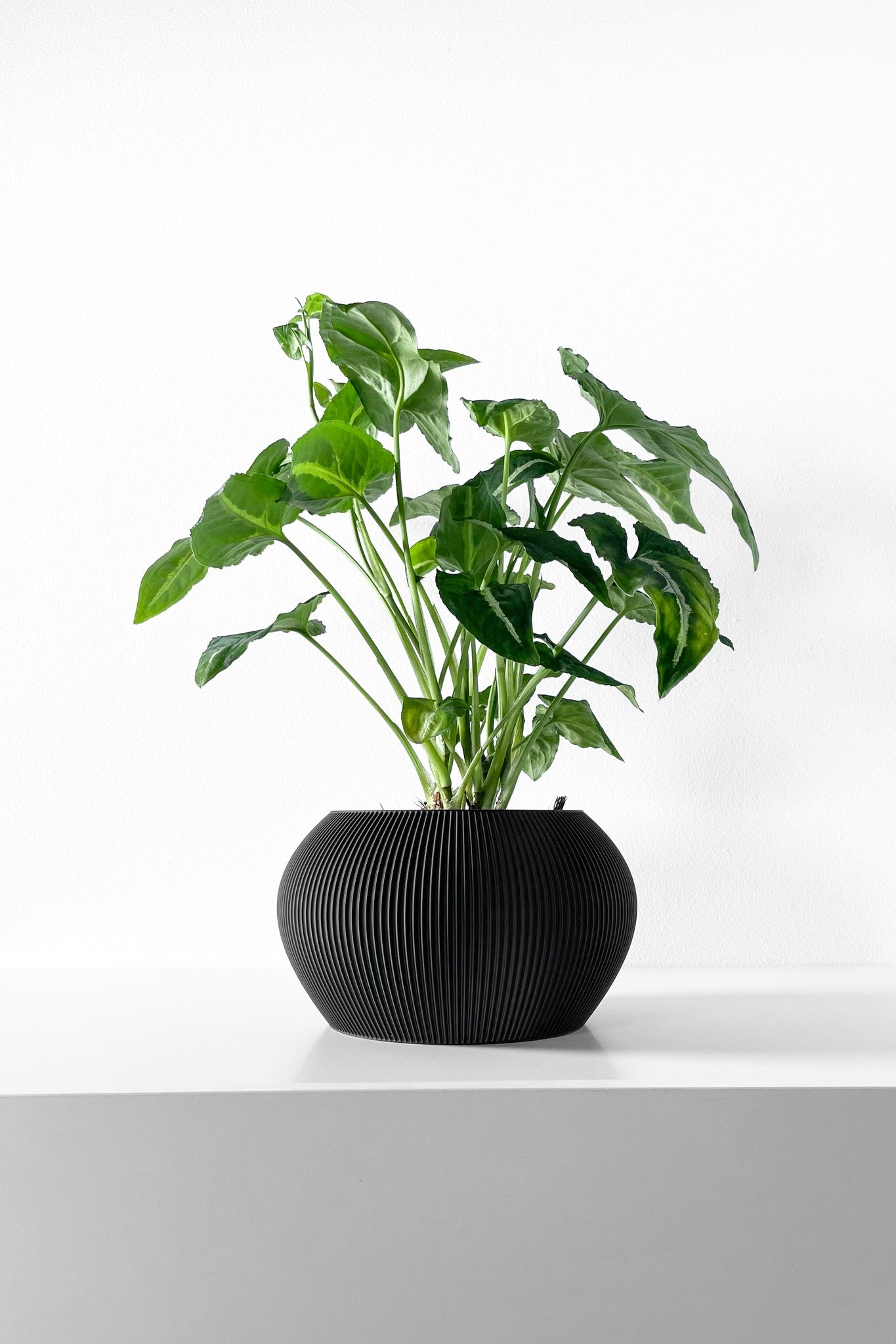 Mini Rib Planter
