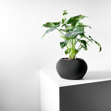 Mini Rib Planter