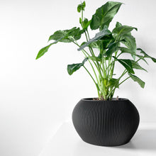 Mini Rib Planter