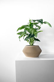Angular Bud Planter - 3D printed planter by Valence Objects