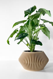 Angular Bud Planter - 3D printed planter by Valence Objects