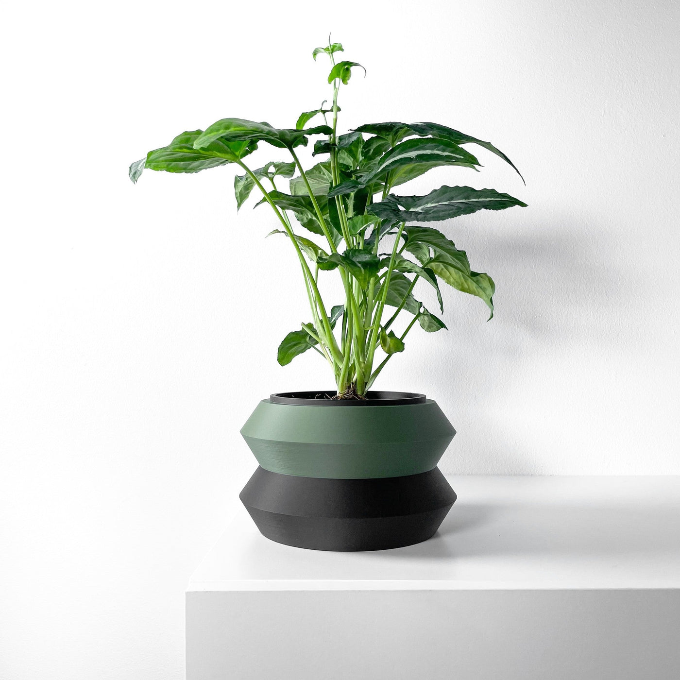 Stepped Rim Planter