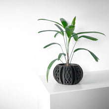 Diamond Fin Planter