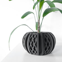 Diamond Fin Planter