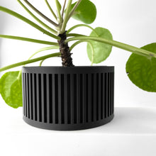 Slot Cage Planter