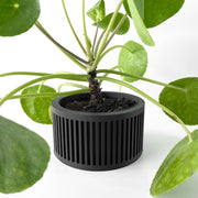 Slot Cage Planter - 3D printed planter by Valence Objects