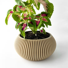 Wide Flute Planter