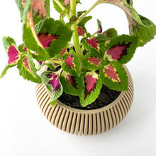 Wide Flute Planter