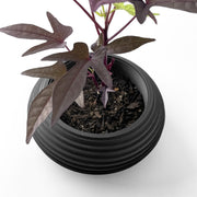 Ripple Bowl Planter - 3D printed planter by Valence Objects