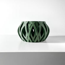 Swirl Lattice Orchid Planter