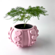 Heart Stud Planter