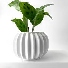 Fluted Lobe Planter