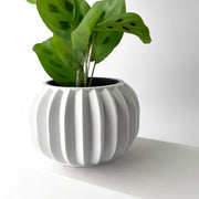 Fluted Lobe Planter - 3D printed planter by Valence Objects