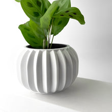 Fluted Lobe Planter