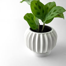 Fluted Lobe Planter