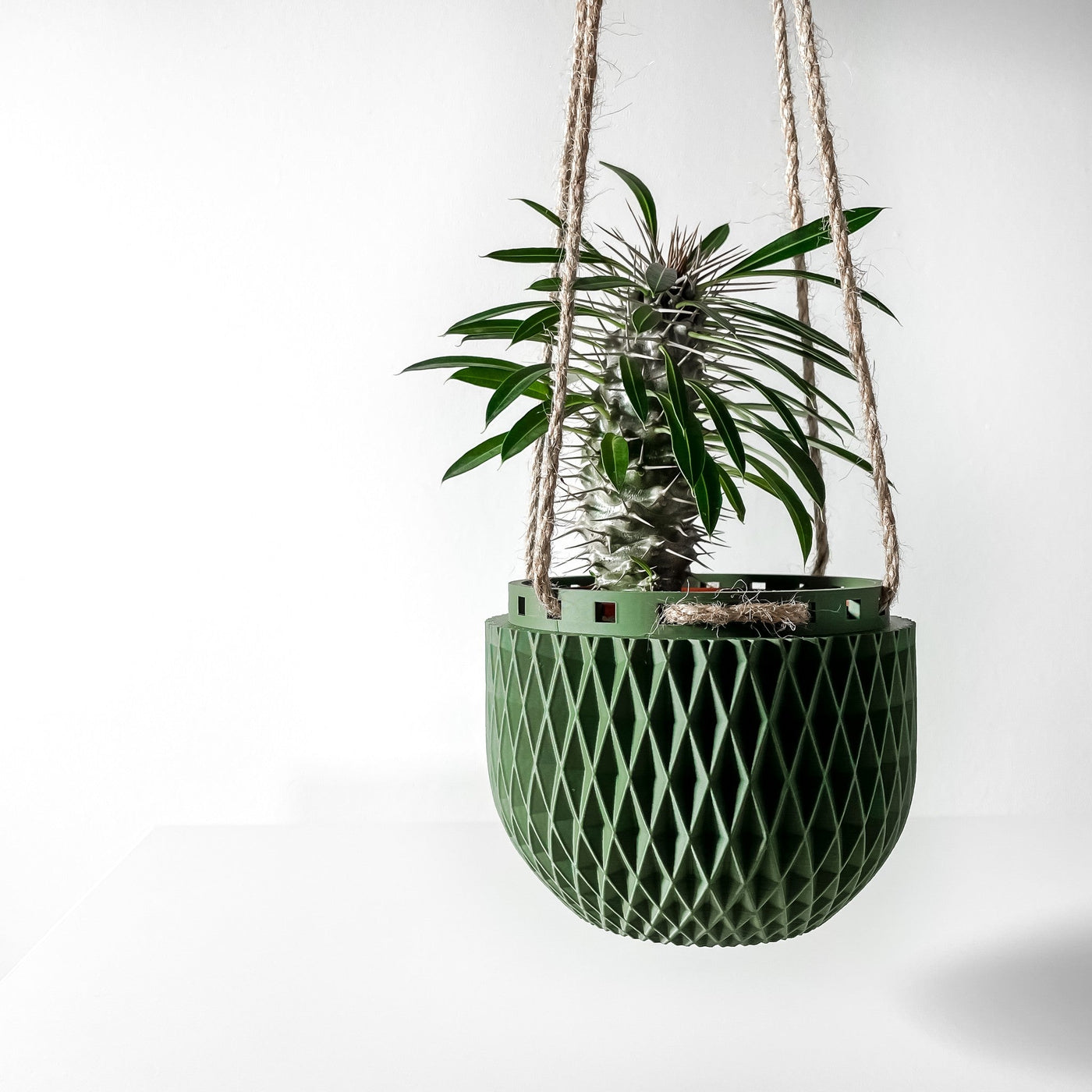 Hanging Lattice Planter