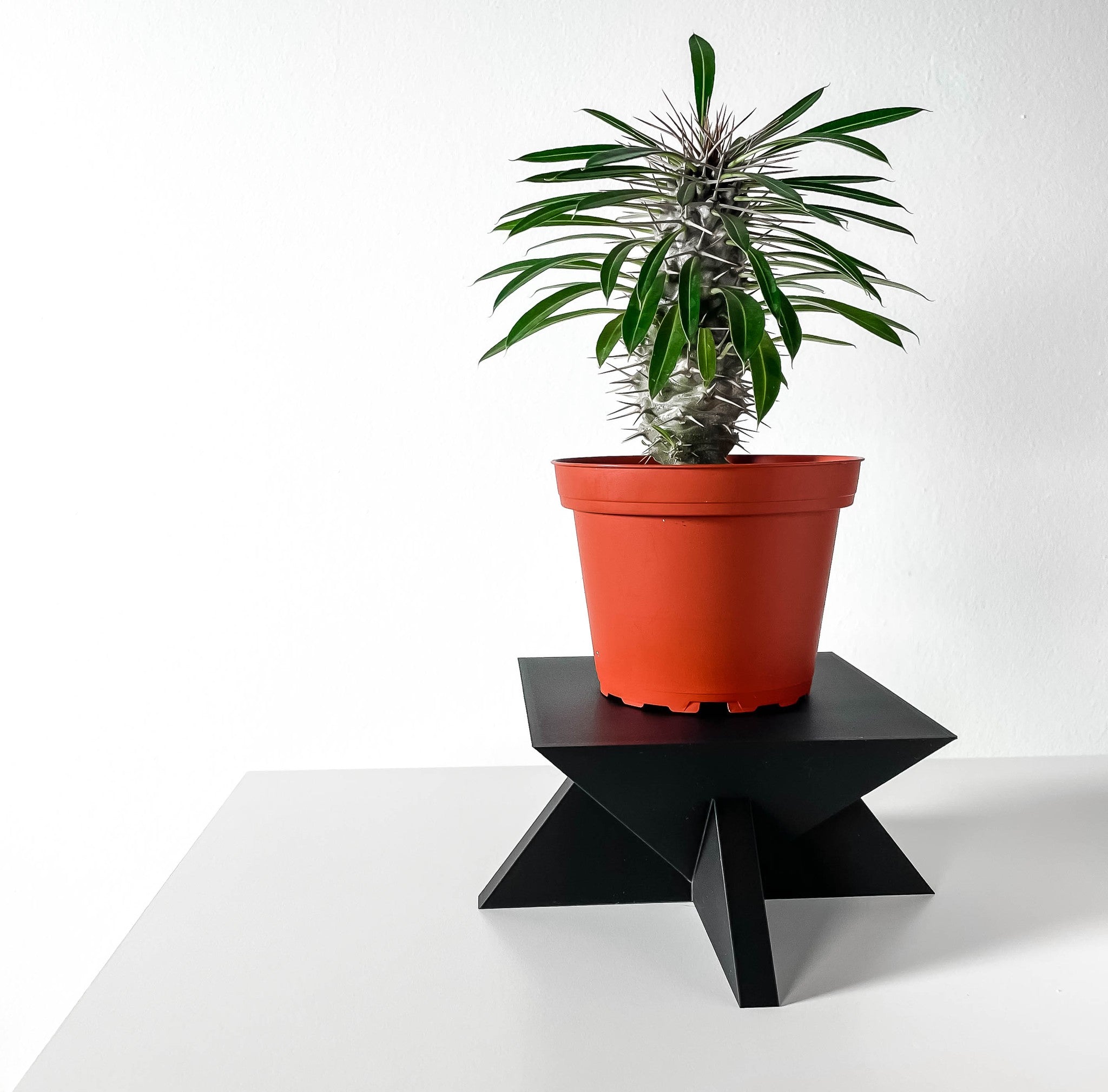 Star Base Display Stand - 3D printed planter by Valence Objects