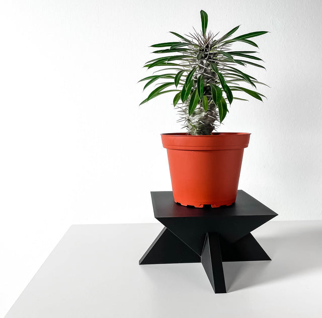 Star Base Display Stand