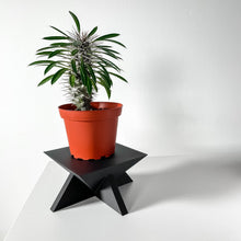 Star Base Display Stand