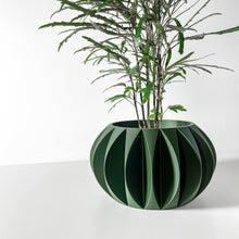 Petal Fin Planter