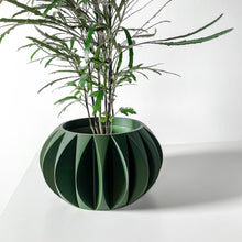 Petal Fin Planter