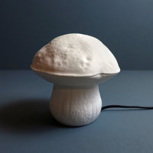 Edulis Fungus Lamp