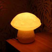 Edulis Fungus Lamp