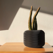 Malibu Pot