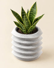 Accordion Stack Planter – styled in use